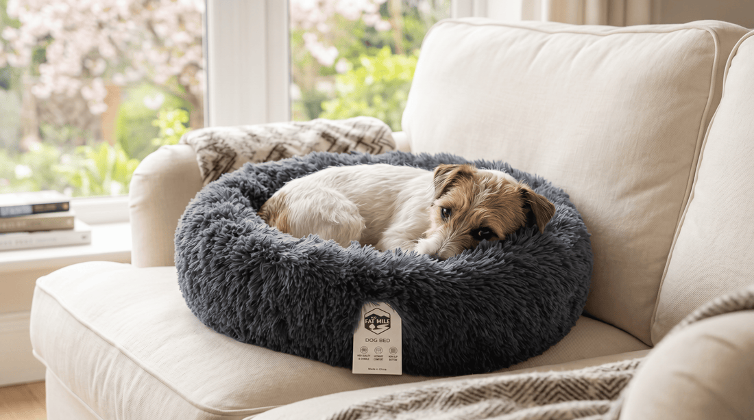 Choosing the Perfect Dog Bed for Your Furry Friend's Comfort
