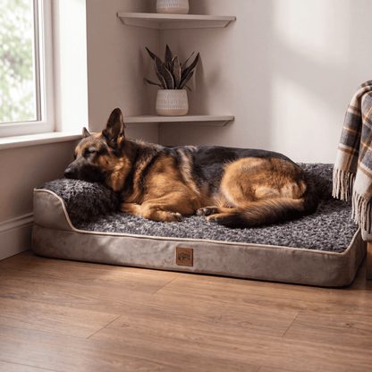 Orthopaedic Corner Sofa Bed