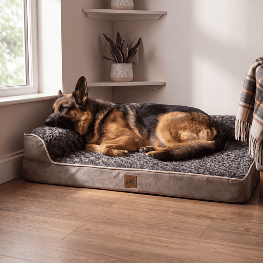 Orthopaedic Corner Sofa Bed