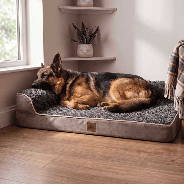 Orthopaedic Corner Sofa Bed