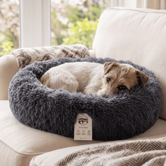 Round Donut Bed